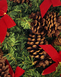 Das Weihnachtskonzert